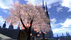 リムサの桜〜5.jpg